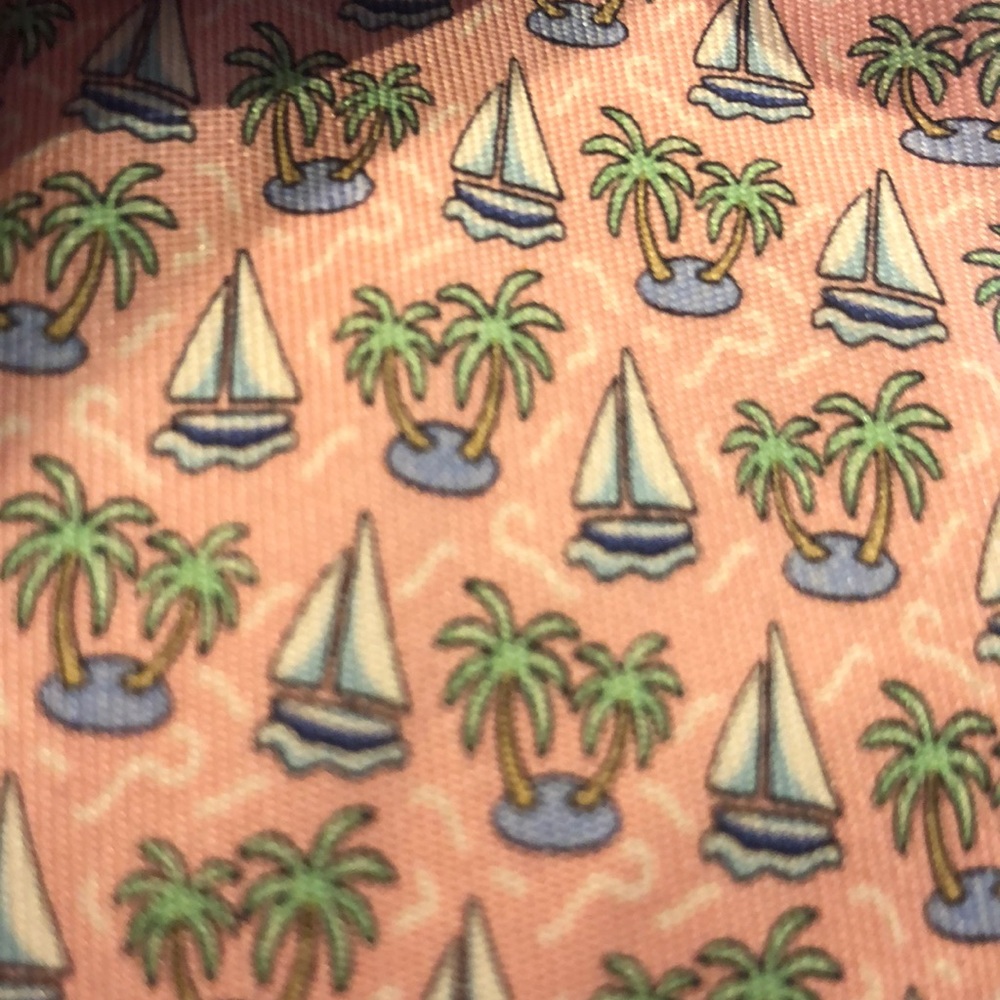 Vineyard vine boys tie. Never worn. Brand new